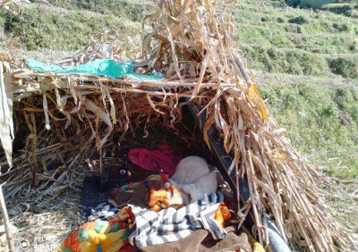 भूकम्पबाट आठबीसकोटमा चार हजार बढी घर पूर्णरुपमा ध्वस्त